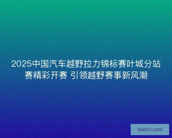 2025中国汽车越野拉力锦标赛叶城分站赛精彩开赛 引领越野赛事新风潮
