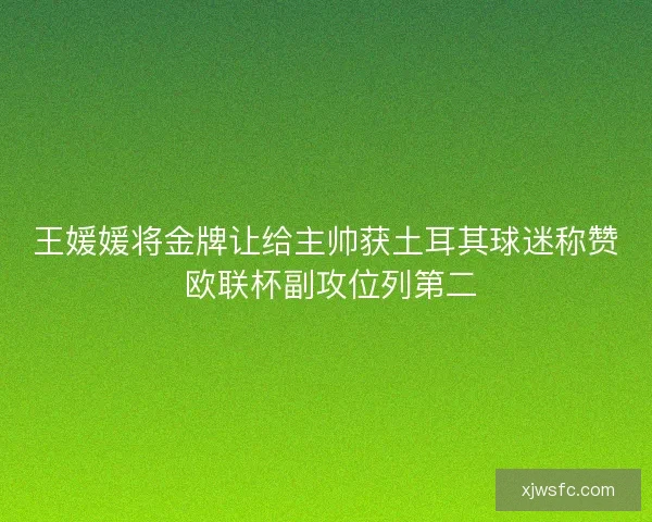 王媛媛将金牌让给主帅获土耳其球迷称赞 欧联杯副攻位列第二