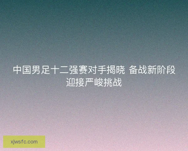中国男足十二强赛对手揭晓 备战新阶段迎接严峻挑战