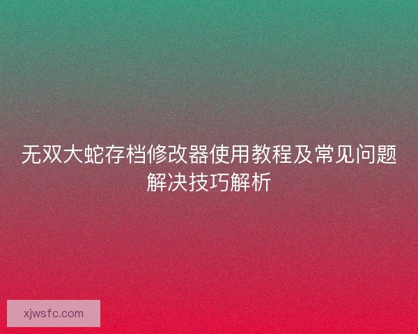 无双大蛇存档修改器使用教程及常见问题解决技巧解析