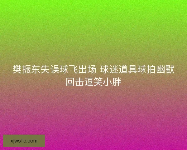 樊振东失误球飞出场 球迷道具球拍幽默回击逗笑小胖