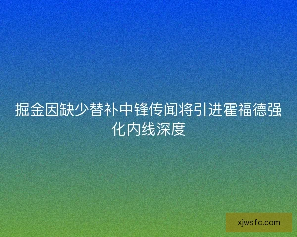 掘金因缺少替补中锋传闻将引进霍福德强化内线深度