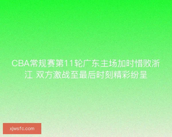 CBA常规赛第11轮广东主场加时惜败浙江 双方激战至最后时刻精彩纷呈