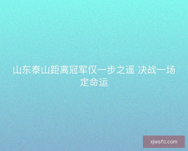 山东泰山距离冠军仅一步之遥 决战一场定命运