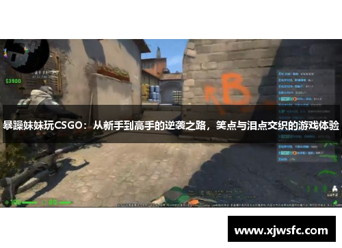 暴躁妹妹玩CSGO：从新手到高手的逆袭之路，笑点与泪点交织的游戏体验